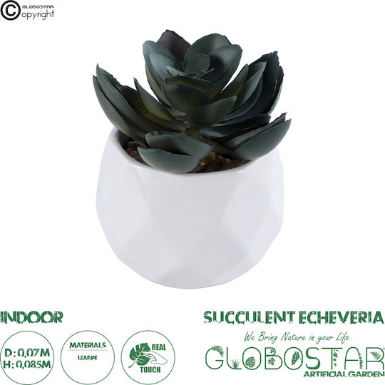 Globostar Artificial Garden Succulent Echeveria 20990 Decorative Plant Succulent Echeveria H8.5cm