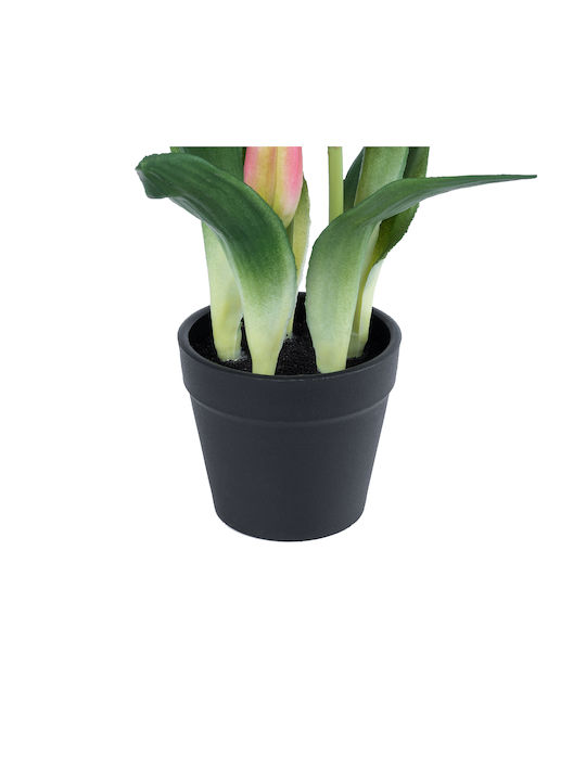 Globostar Artificial Garden Pink Tulip 21092 Decorative Plant Pink Tulip H23cm