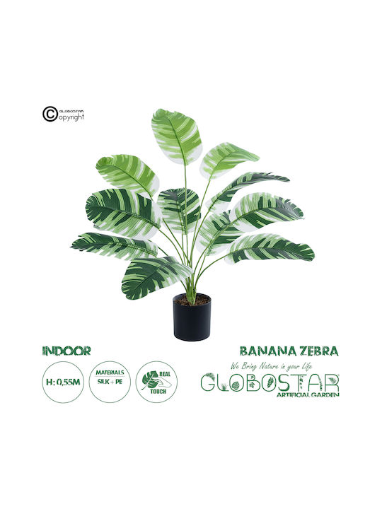 Globostar? Künstliche Gartenbanane Zebra 20929 Dekorative Pflanze Banane Zebra H55cm