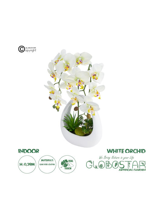 Globostar Artificial Garden White Orchid 21128 Decorative Plant White Orchid H39cm
