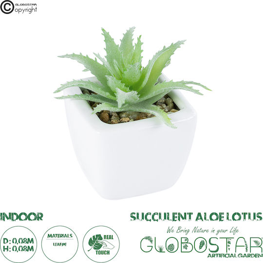 Globostar Artificial Garden Succulent Aloe Lotus 20976 Decorative Plant Succulent Aloe Lotus H8cm