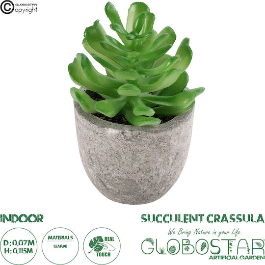 Globostar? Artificial Garden Succulent Crassula 21014 Decorative Thick Succulent Plant Υ11.5cm