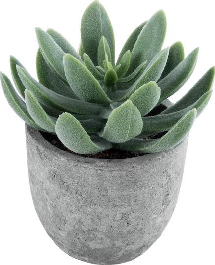 Globostar Suculentă Artificială de Grădină Sedeveria Plantă Decorativă Suculentă Sedeveria H10.5cm GloboStar