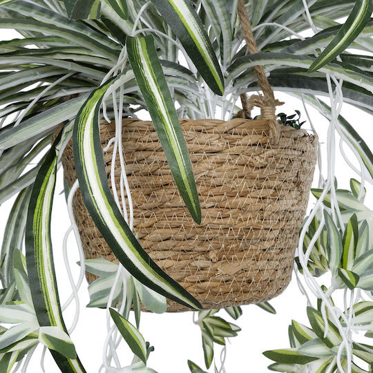 Globostar? Artificial Garden Chlorophytum Comosum Hanging Plant 20638 Τεχνητό Κρεμαστό Διακοσμητικό Χλωρόφυτο Y50cm