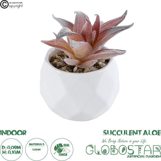 Globostar? Artificial Garden Succulent Aloe 21006 Διακοσμητικό Φυτό Παχύφυτο Αλόη Υ10cm
