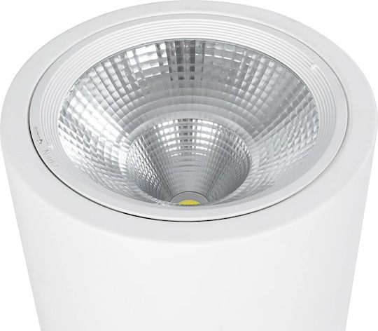 GloboStar Monos LED Alb Cald Spot în Culoare Alb