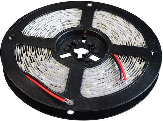 Rebel LED Лента Телевизия 12V Топло бяло Светлина 5м Тип SMD5050