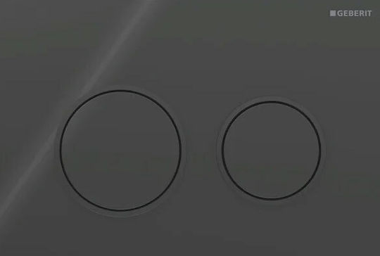 Geberit Omega 20 Flush Plate Dual Flush