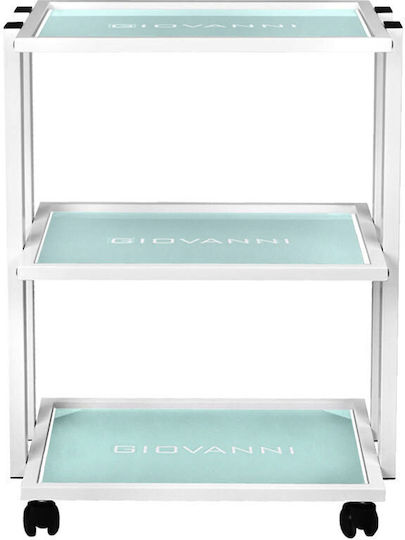 Aesthetic Rolling Assistant Type 1041 Giovanni
