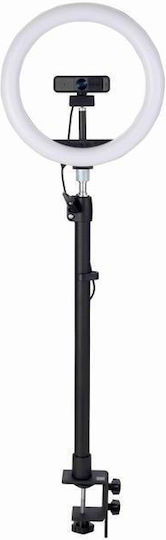 Kensington A1000 Teleskopischer C-Klammer K87654WW