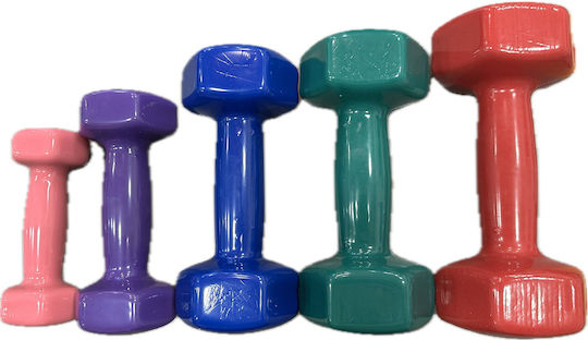 MDS Hexagon Vinyl Dumbbell 1 x 3kg