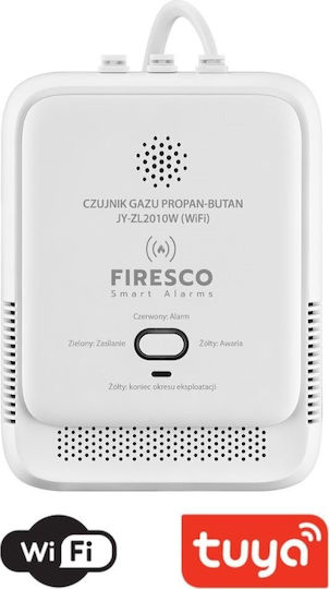 Gasdetektor WLAN