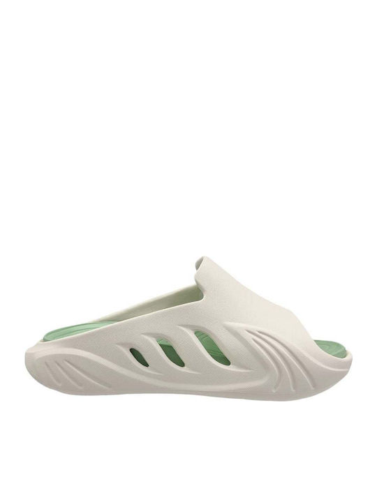 Adam's Shoes
