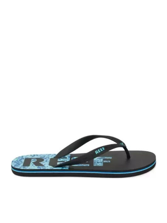 Reef