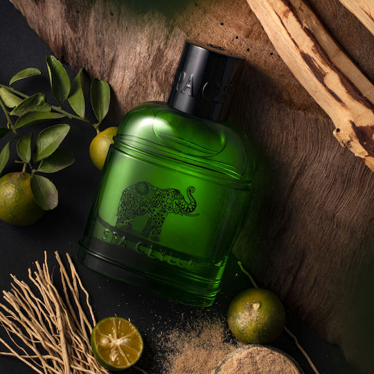 Spa Ceylon Elephant Eau de Parfum 100ml