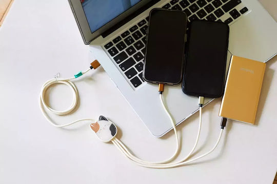 Lazerbuilt Geflochten USB zu Micro-USB / Typ-C,TC-TC / Blitzschlag Kabel 2A Gray 1.2m