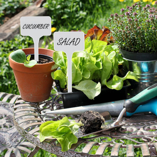 Set 100 Plant Labels 14.5 X 5.5 White Reusable Labels Relaxdays
