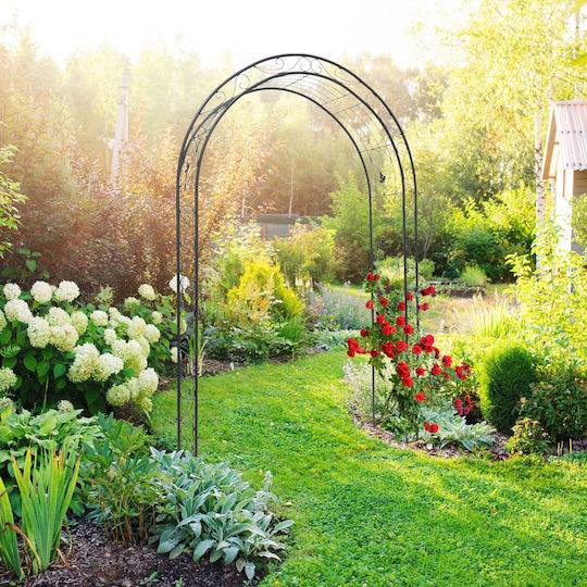 Arcadă Metalică pentru Grădină Flori Cățărătoare Negru 226 X 144 X 36.5 Cm Relaxdays