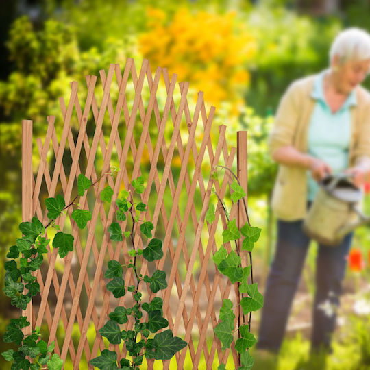 Expandable Trellis Climbing Plants Fir Wood 101.5 X 30 Cm