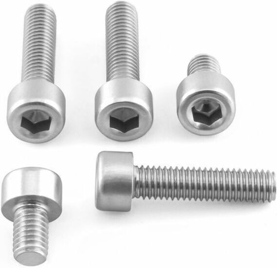 Pro Bolt Motorcycle Bolts 5pcs