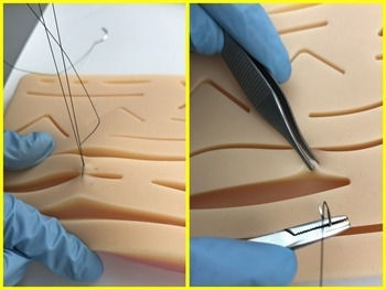 Skin Suturing Training Manikin Various Designs