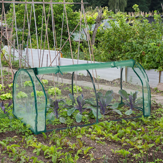 Mini Greenhouse Garden Iron Frame Green 50 X 128 X 60 Cm