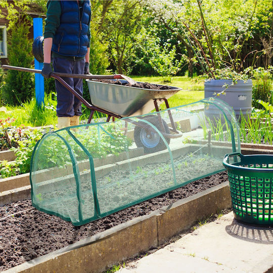 Mini Greenhouse Garden Iron Frame Green 50 X 128 X 60 Cm