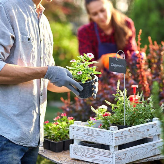 Set 12 Plant Labels Relaxdays Metal 42.5 x 6 cm