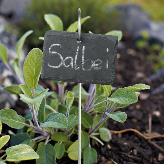 Set 12 Plant Labels Relaxdays Metal 42.5 x 6 cm