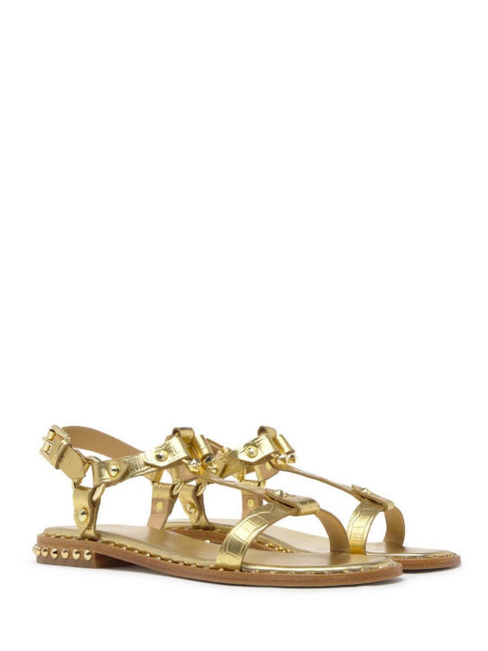 Combo Leather Women's Flat Sandals in Gold Color