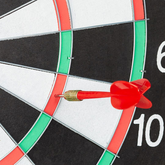 Joc Darts 43 cm Diametru Tablă 6 Săgeți cu Vârf Metalic Joc Față-verso Material Oțel și Plută