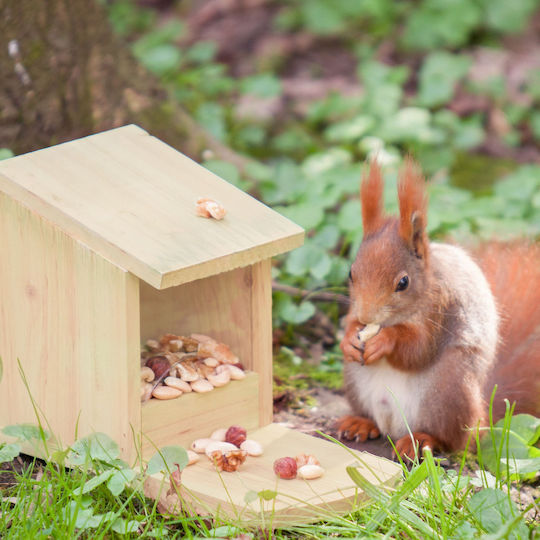 Relaxdays Bird Feeder
