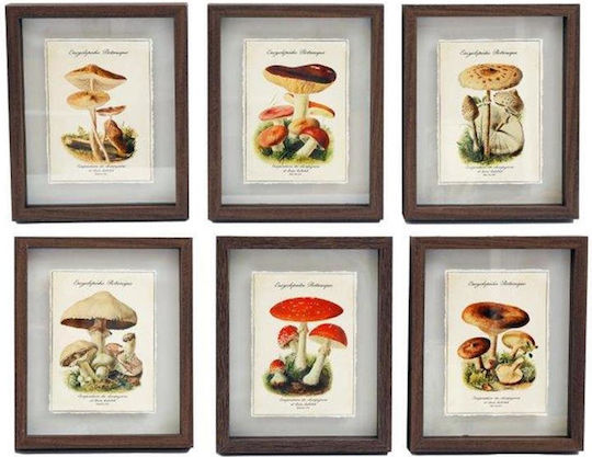 Frame Mushrooms 6pcs 21x26cm
