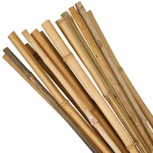 Showood Bamboo für Gartenzaun aus Bambus 4x4x300cm 1Stück