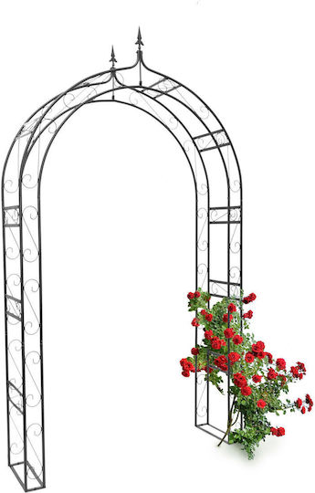 Arcadă Metalică pentru Grădină Flori Cățărătoare Negru 242 X 138 X 35.5 Cm Relaxdays Arcadă Metalică pentru Grădină Flori Cățărătoare Negru 242 X 138 X 35.5 Cm Relaxdays