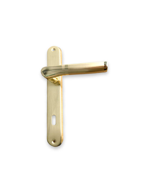 Irida Middle Door Lever Plate Gold Pair