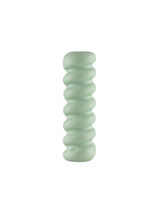 Nylabone Обучителна Игра за Кученце Small Зелен 1бр