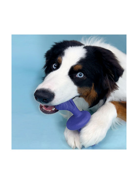 Nylabone Bone Toy Dog Chewable made of Rubber with Flavor Bacon Large Blue 1pcs