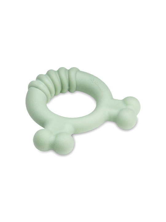 Nylabone Εκπαιδευτικό Παιχνίδι για Κουτάβι Small Πράσινο 1τμχ