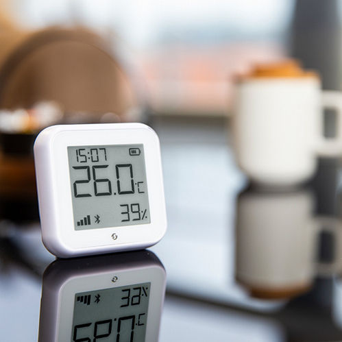 Shelly Digital Thermometer