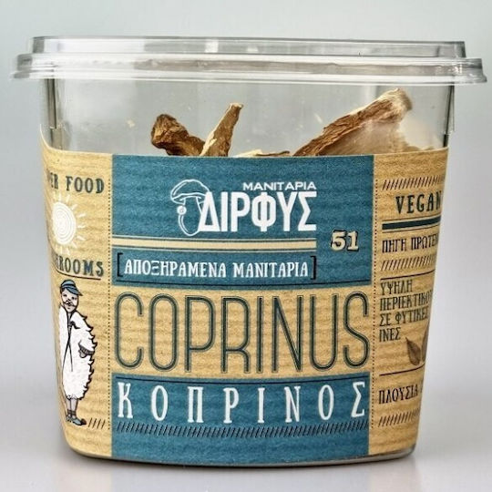 Manitaria Dirfys Pilze Koprinus Scheiben Getrocknet 1Stück