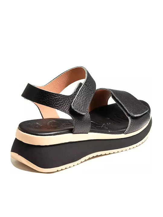 Oh My Sandals Oh My Sandals