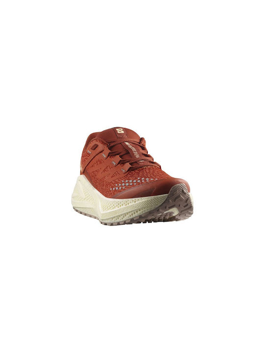 Aero Glide 3 Grvl Femei Pantofi sport Alergare Burnt Ochre / Vanilla Ice / Etherea