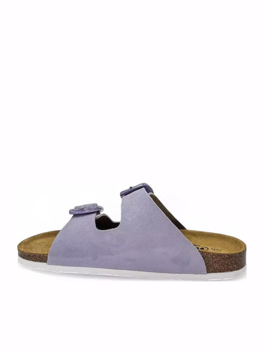Plakton