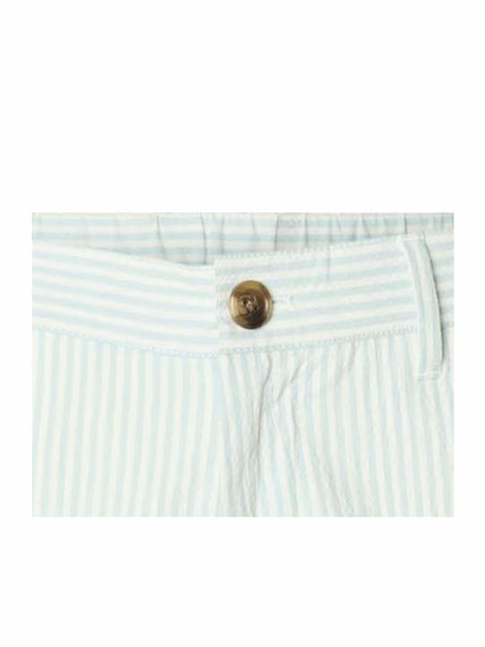 Men's Shorts Witer Sky