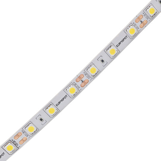 Eurospot Ταινία LED 12V Θερμό Λευκό Φως 5m Τύπου SMD5050