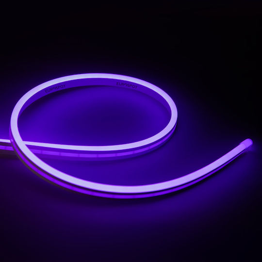 Eurospot Waterproof LED Strip 24V Purple Light 5m Neon Flex