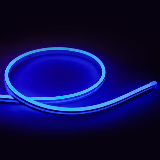 Eurospot Αδιάβροχη Ταινία LED 24V Μπλε Φως 5m Neon Flex