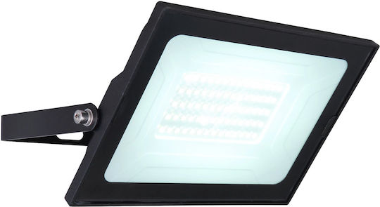 Globo Lighting Waterproof LED Floodlight 50W Cold White 6000K IP65