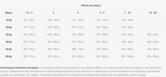 Josera Junior Kids 5x0.9kg Dry Food Gluten-Free for Medium & Large Breed Puppies with Poultry